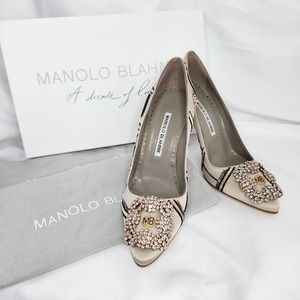 Manolo Blahnik Hangisi NYC Pumps 35 105mm (SPECIAL LIMITED EDITION)